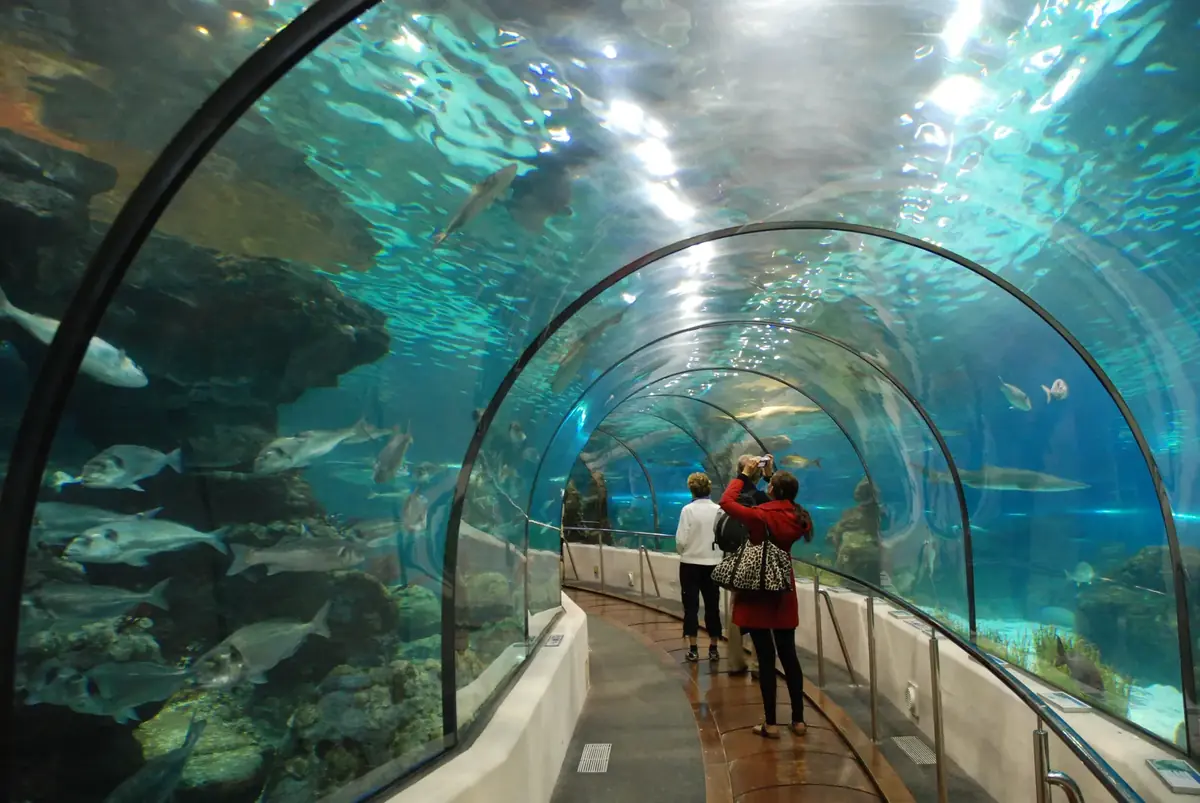 Visitors walking through the shark tunnel at L'Aquàrium Barcelona